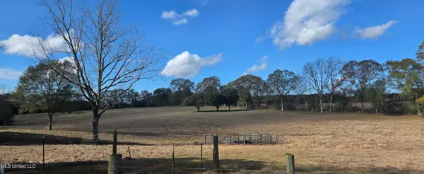 199 Airline Highway, Tylertown, MS 39667