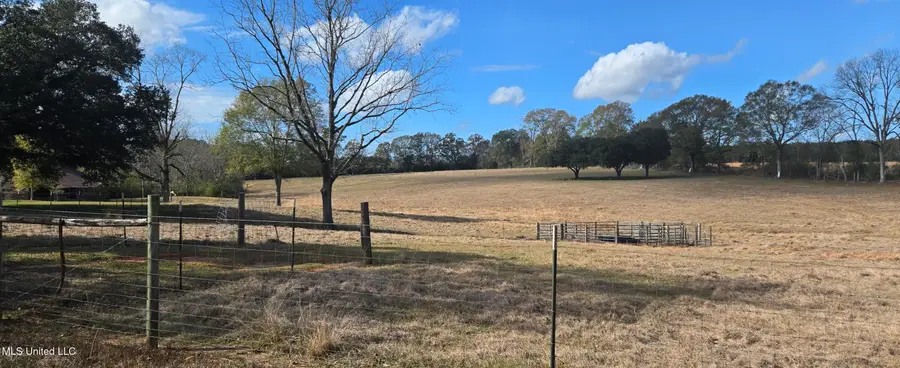 199 Airline Highway, Tylertown, MS 39667 - Image #3