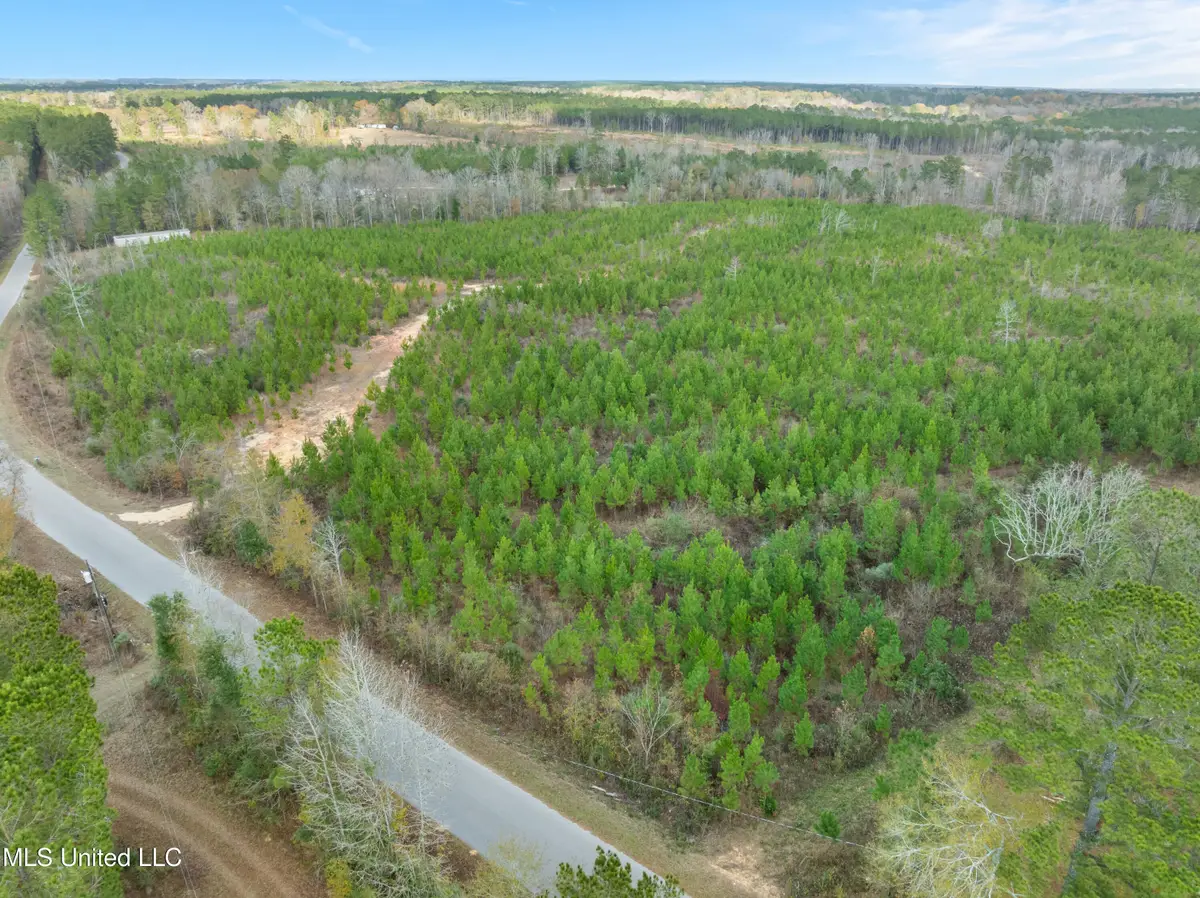 84.50 Acre Carter Guthrie Road, Moselle, MS 39459 - #1