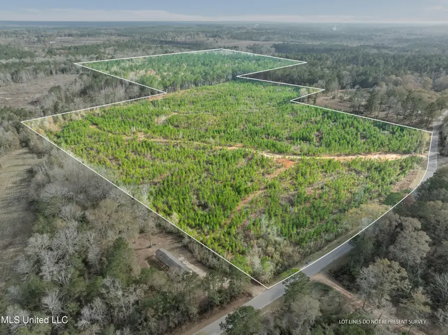 84.50 Acre Carter Guthrie Road, Moselle, MS 39459 - #2