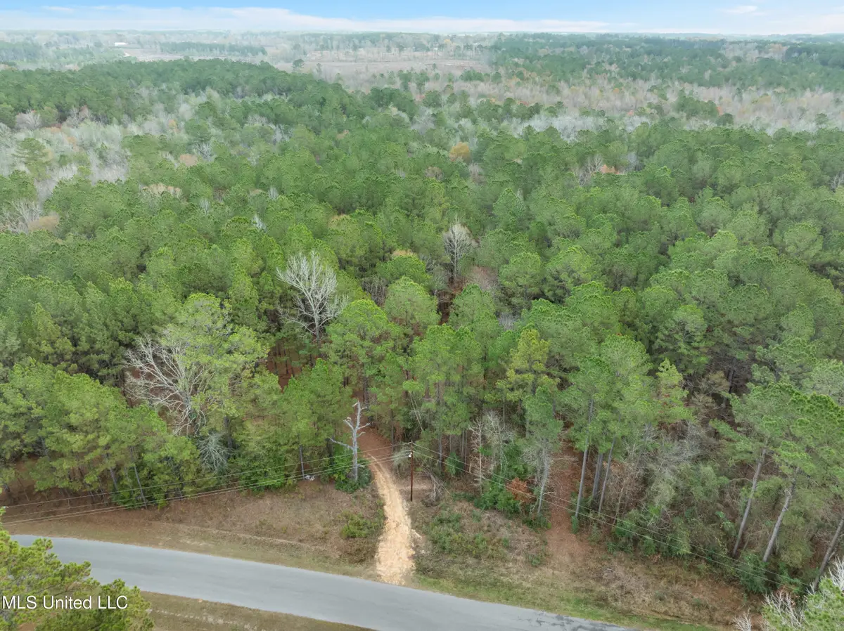 83.50 Acre Carter Guthrie Road, Moselle, MS 39459 - #1