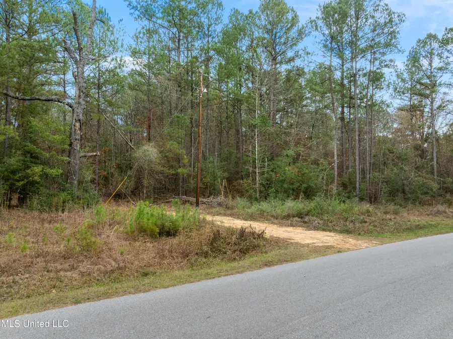 83.50 Acre Carter Guthrie Road, Moselle, MS 39459 - #3