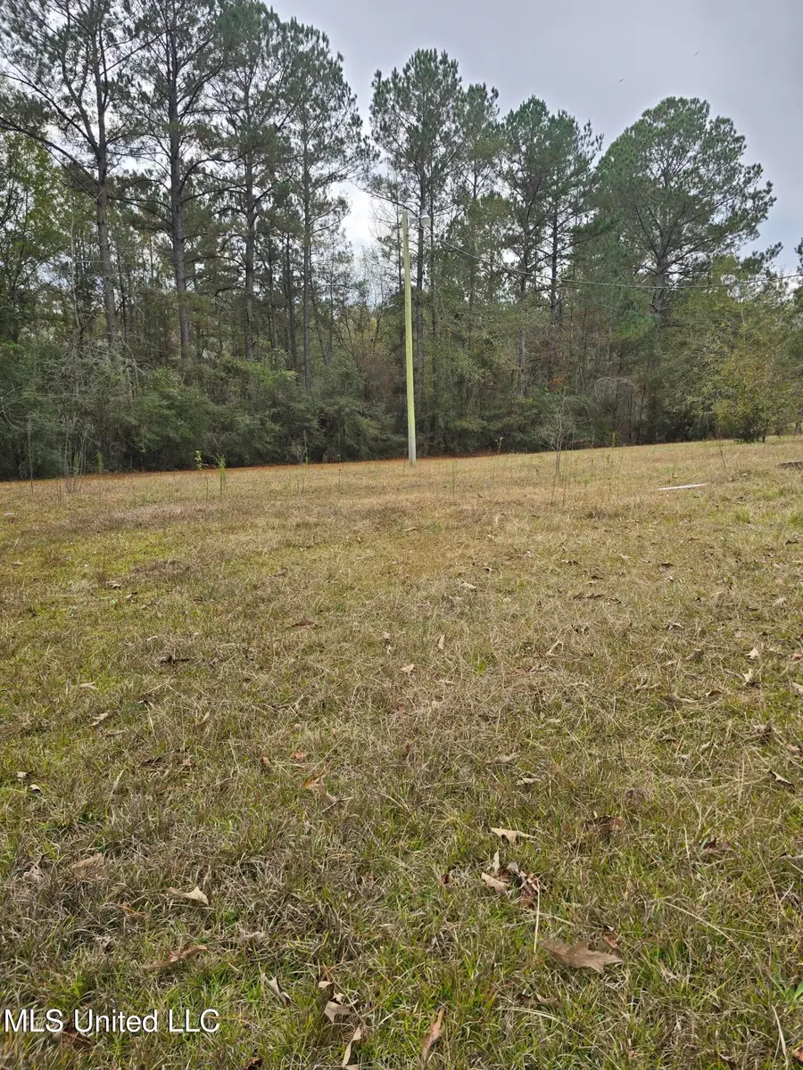 46 Matilda Lane, Newhebron, MS 39140 - Image #3