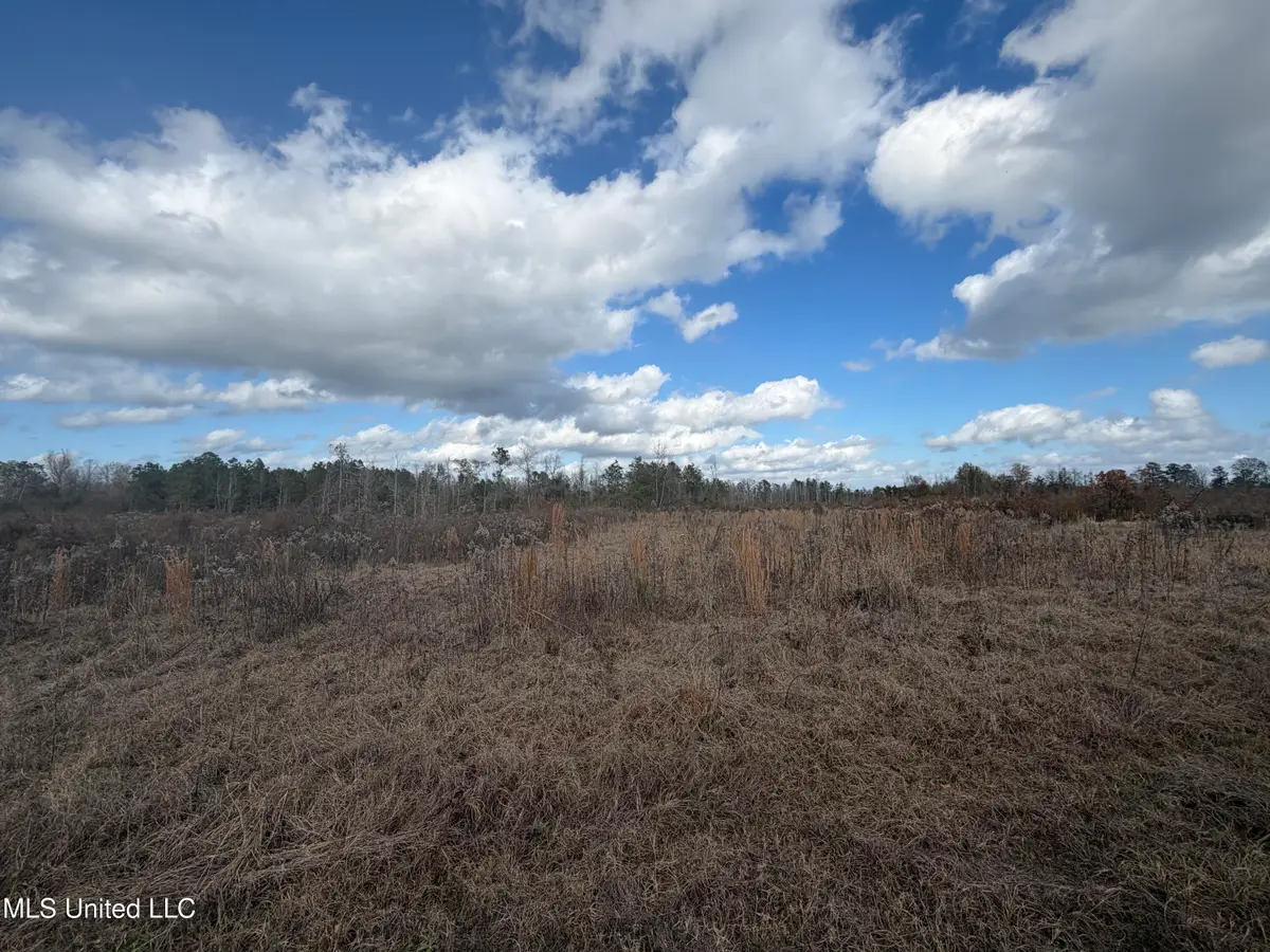 0 Clem Road, Prentiss, MS 39474 - Image #1