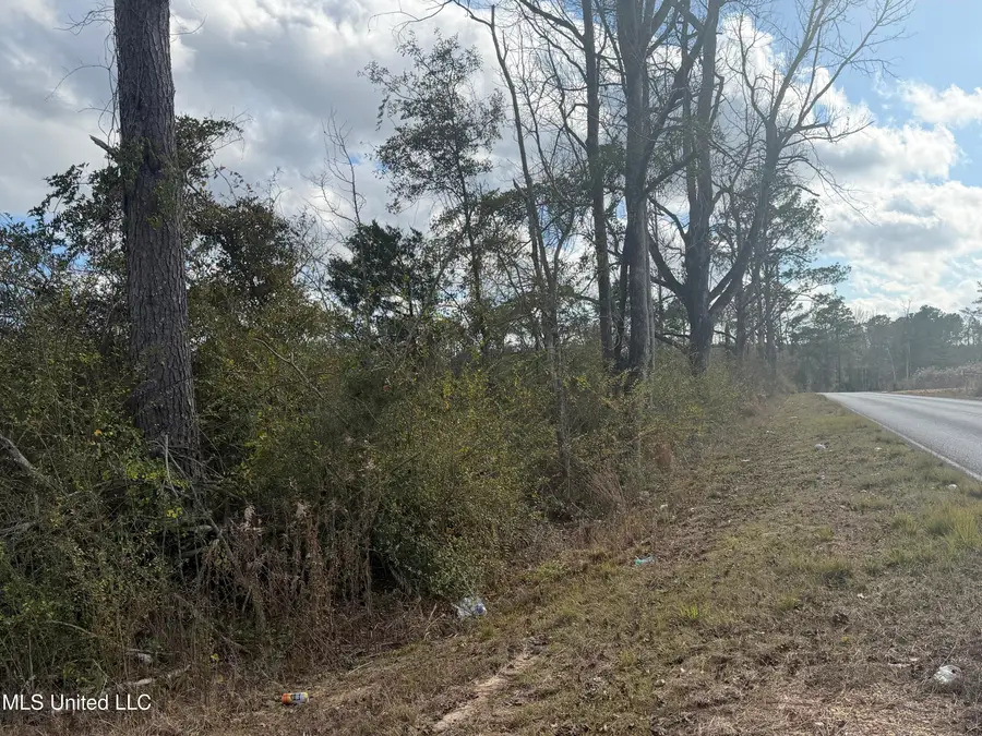 0 Clem Road, Prentiss, MS 39474 - Image #3