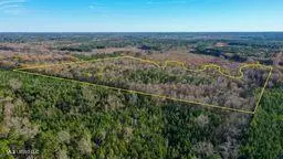 Ms 43, Canton, MS 39046 - #3