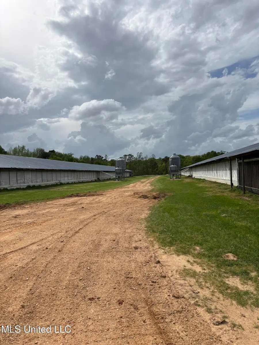 205 Jake Barnes Road, Mendenhall, MS 39114 - Image #3