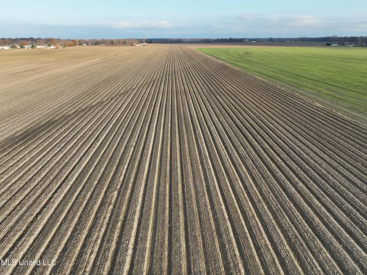 Bass Road, Louise, MS 39097 - Image #1