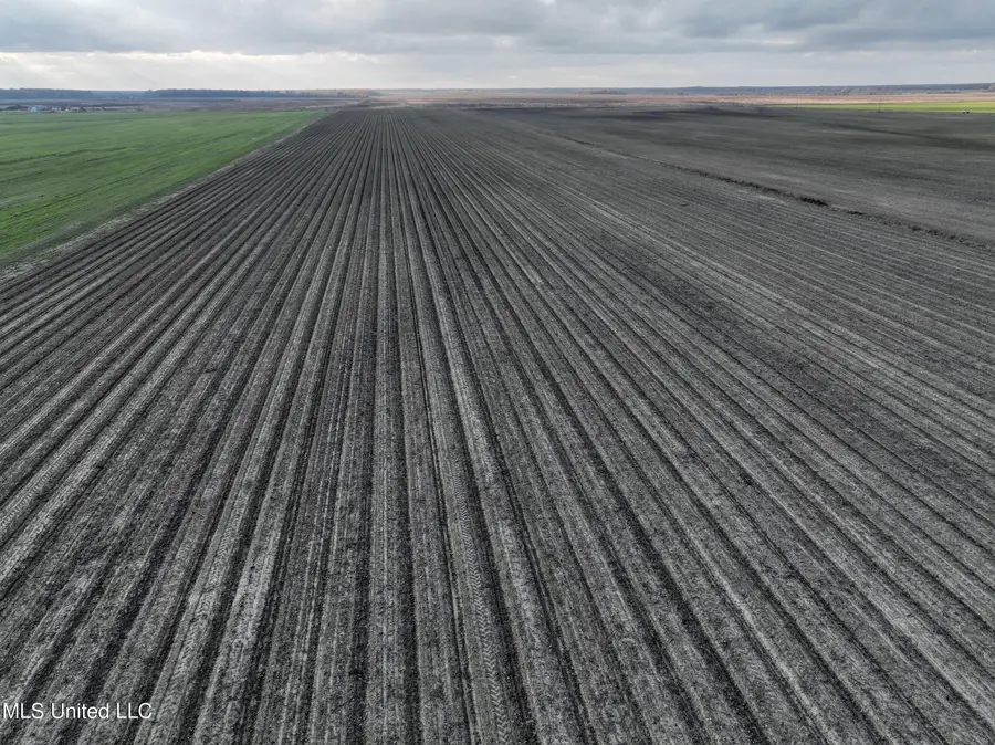 Bass Road, Louise, MS 39097 - Image #3