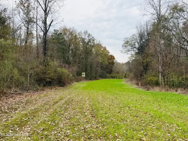 1445 Parsons Road, Raymond, MS 39154