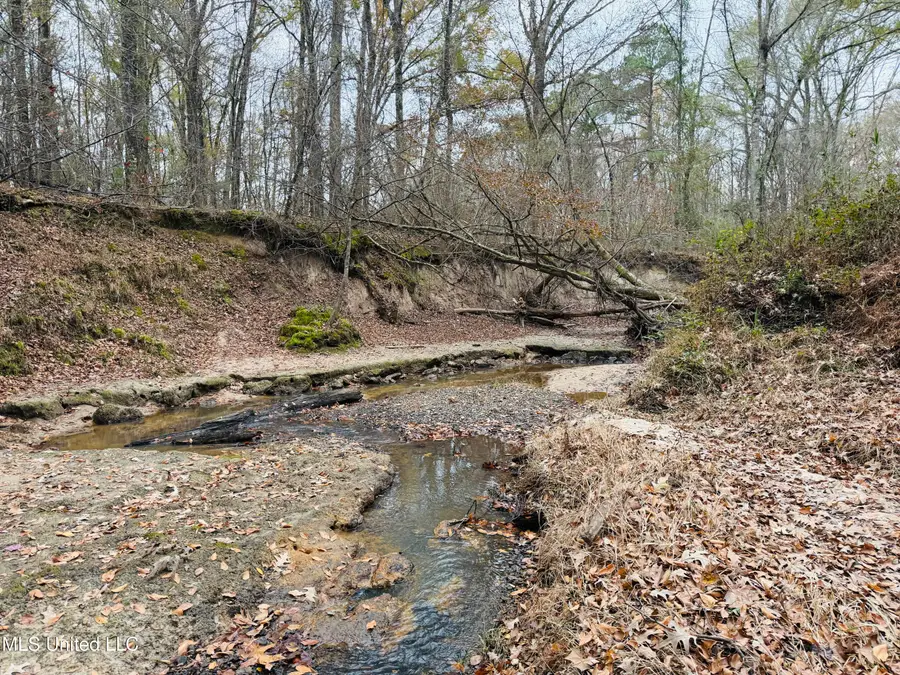 1445 Parsons Road, Raymond, MS 39154 - Image #2