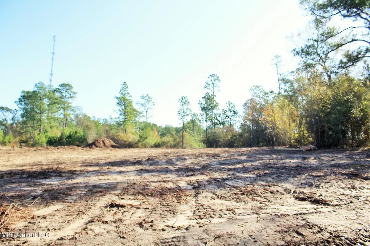 2.48ac Jones Road, Lucedale, MS 39452 - Image #1