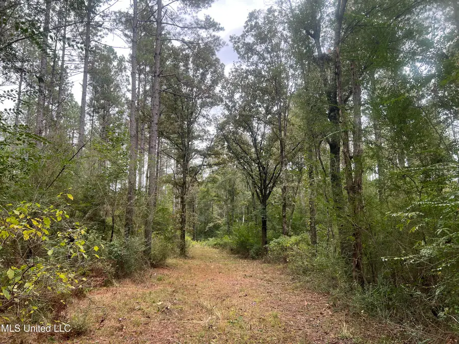 Enon Sartinville Road, Jayess, MS 39641 - Image #2