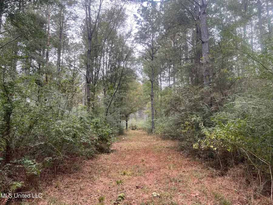 Enon Sartinville Road, Jayess, MS 39641 - Image #3