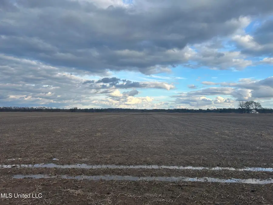 1486 Hot Thornton Road, Tunica, MS 38676 - Image #3