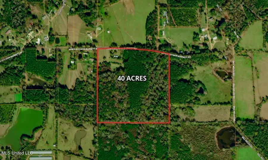 399 James Boyakin Barnett Road, Magee, MS 39111 - Image #2