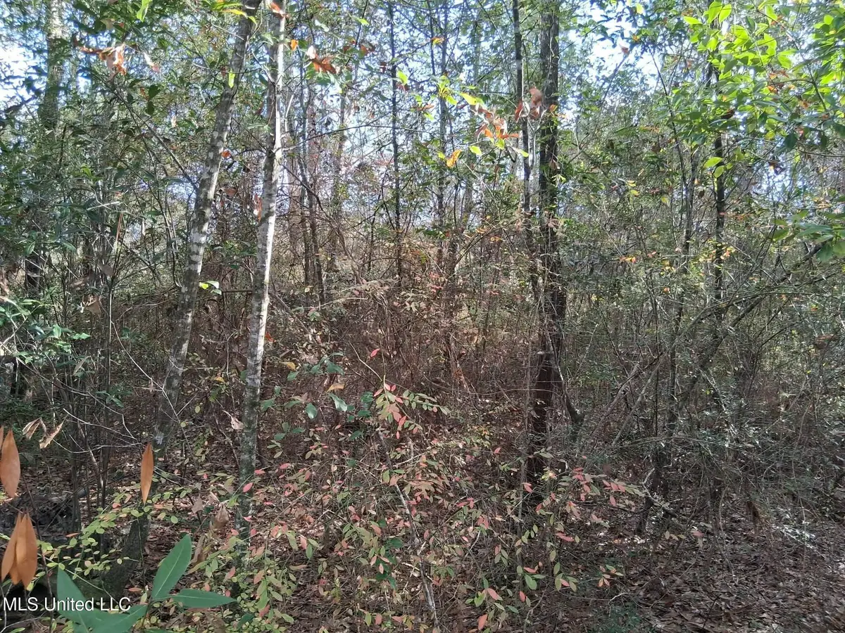 N Whale Avenue, Bay Saint Louis, MS 39520 - Image #1