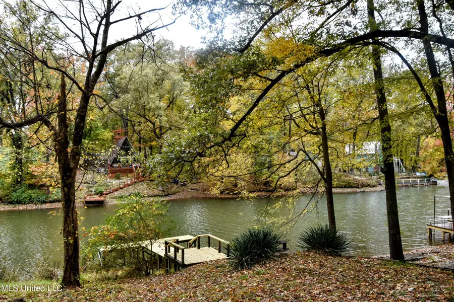 10883 Loch Venarcher Cove, Hernando, MS 38632 - Image #2
