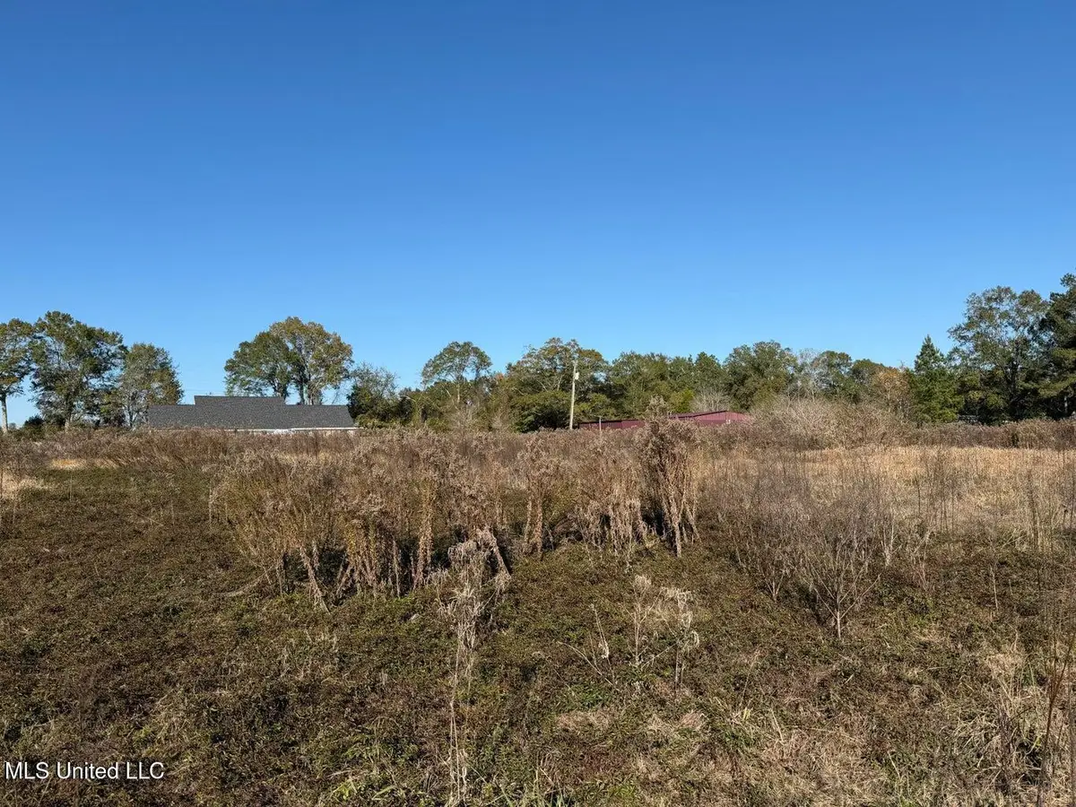 Parcel 2 Crenshaw Road, Lucedale, MS 39452 - Image #1