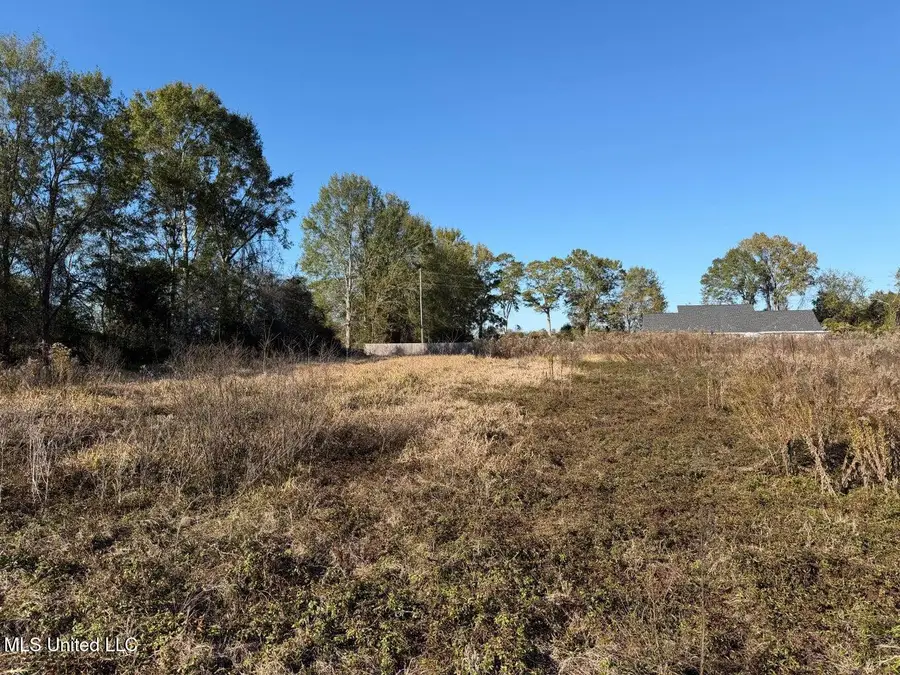 Parcel 2 Crenshaw Road, Lucedale, MS 39452 - Image #3