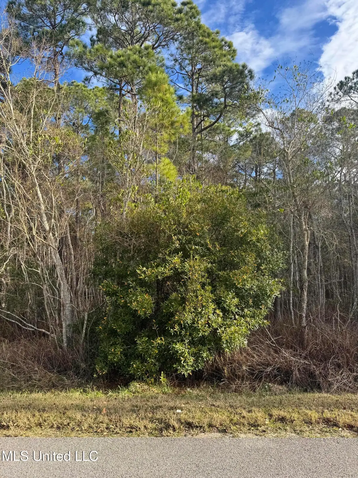 Lot 2224 Peach Street, Ocean Springs, MS 39564 - Image #1