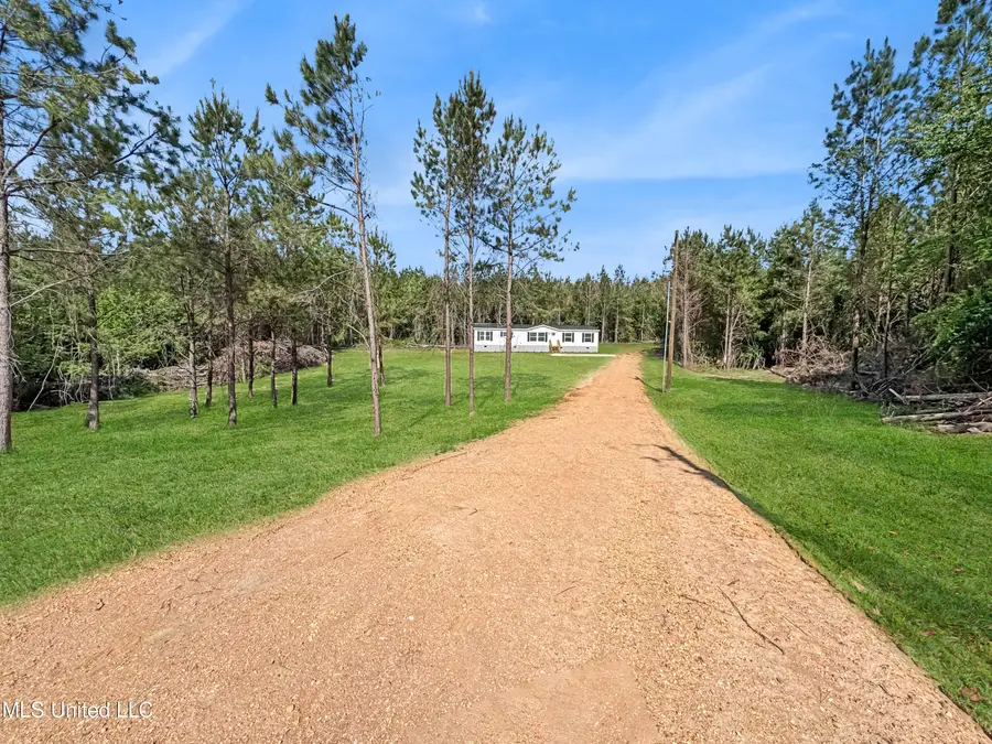 108 Brumley Lane, Mize, MS 39116 - Image #2