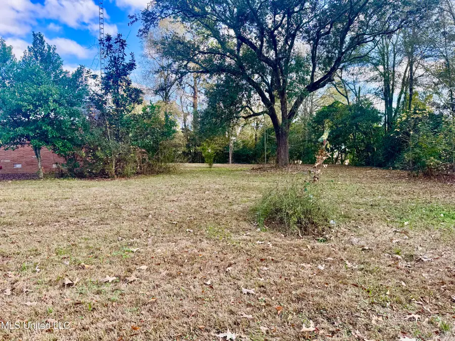 12 Fatherland Road, Natchez, MS 39120 - Image #3