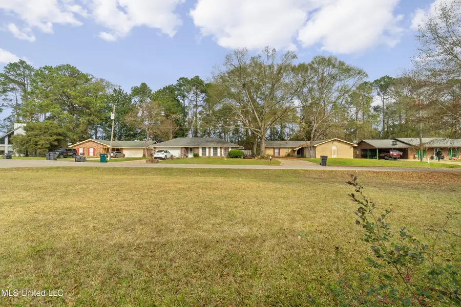 301 W Ray Drive, Hattiesburg, MS 39402 - Image #3