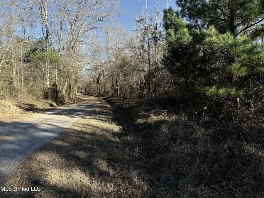 000 Ben Luckett Road, Canton, MS 39046 - Image #2