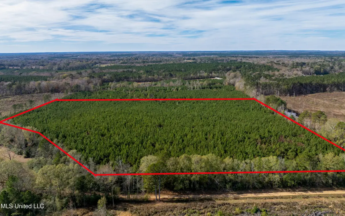 0 S C Road 131, Morton, MS 39117 - Image #1