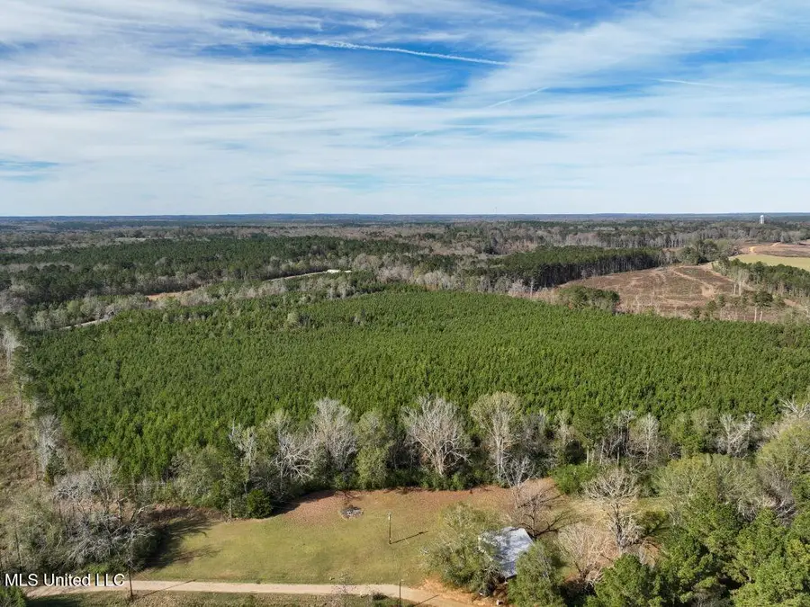0 S C Road 131, Morton, MS 39117 - Image #3