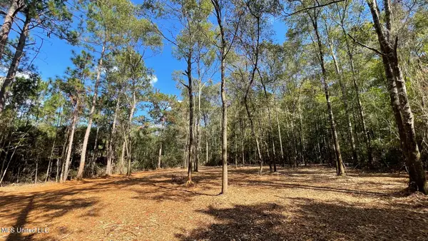 Old Hwy 49, Saucier, MS 39574