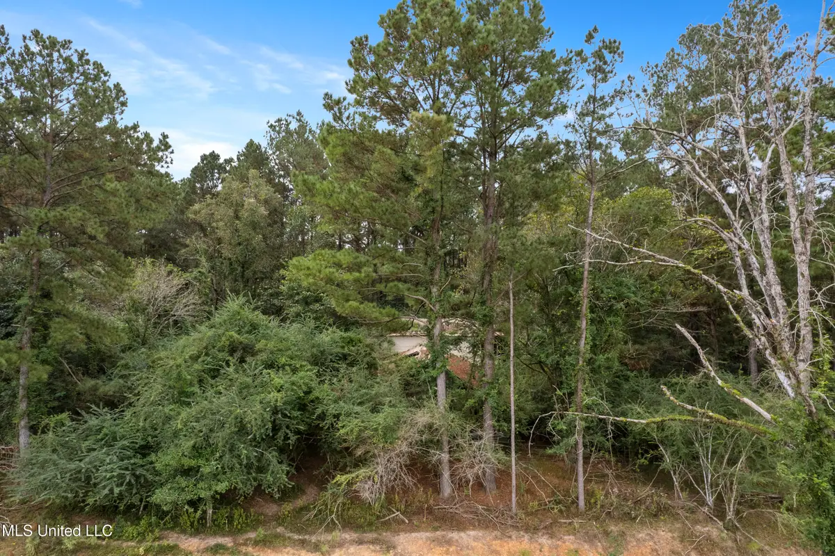 Parcel A Highway 42, Richton, MS 39476 - Image #1