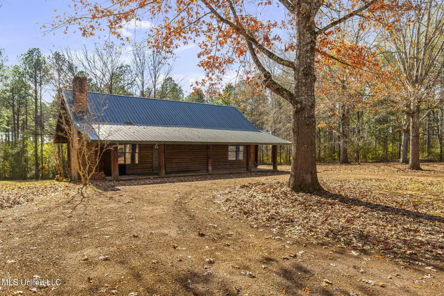 30477 Attala Highway 19, West, MS 39192 - Image #3