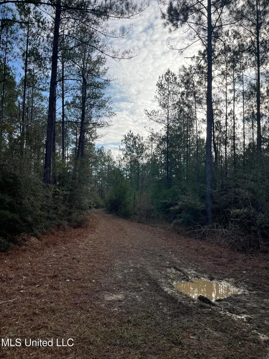 40 Acres Off Deep Creek Road, Wiggins, MS 39577 - Image #3