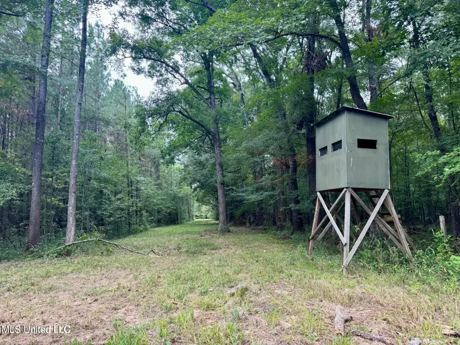 Yandell Road, Madison, MS 39110 - Image #3