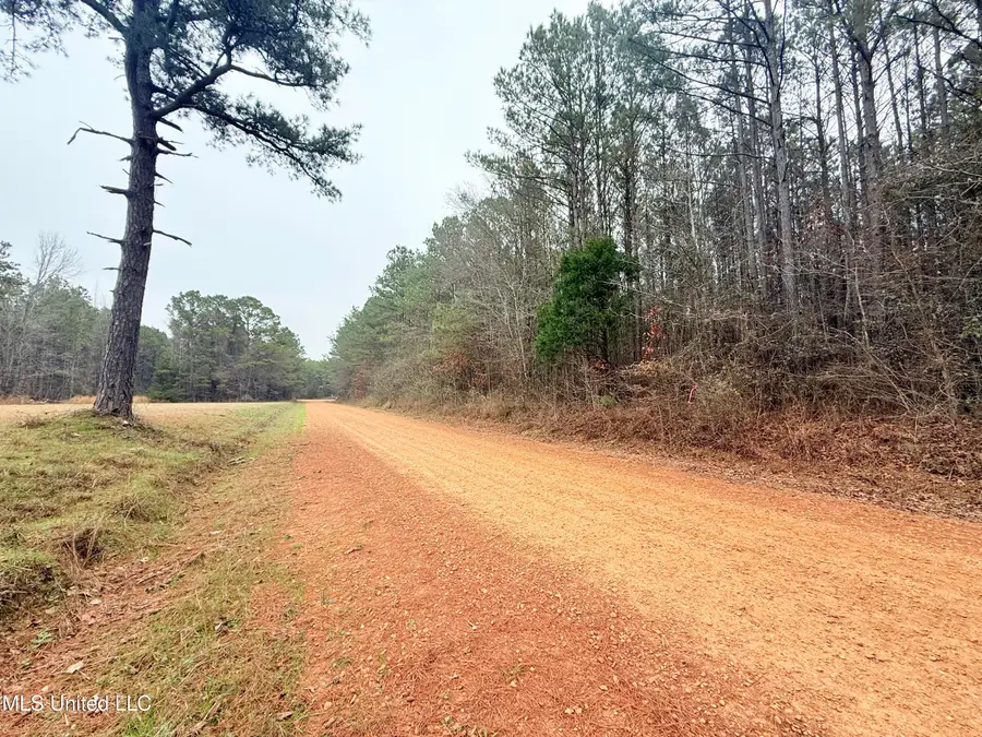 Firetower Road, Camden, MS 39045 - Image #3