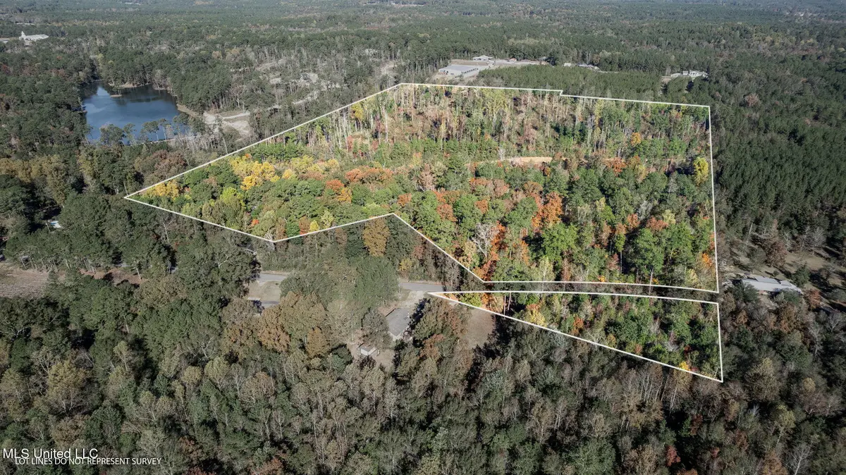 36.08 +/- Acres Placid Drive, Sumrall, MS 39482 - Image #1