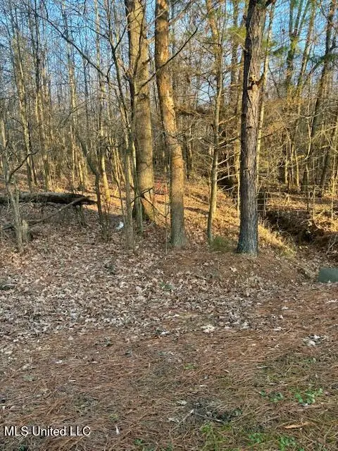 1397 Gravel Springs Road, Senatobia, MS 38668 - Image #3