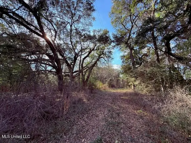 62182 W State Line Road, Franklinton, LA 70438 - Image #2