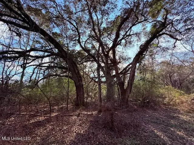 62182 W State Line Road, Franklinton, LA 70438 - Image #3