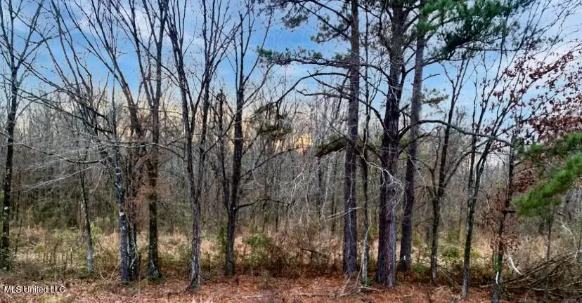 1178 Stump Ridge Road, Brandon, MS 39047 - Image #2