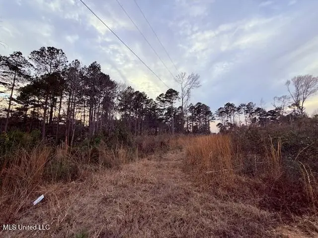 Morgantown Road, Foxworth, MS 39483 - Image #2