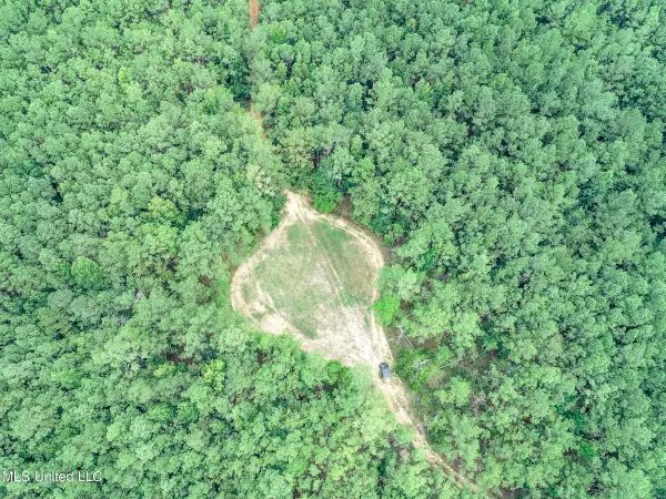 222 Beaverdam Road, Camden, MS 39045