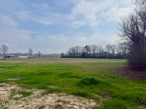 Spruce Street, Walnut Grove, MS 39189 - Image #2