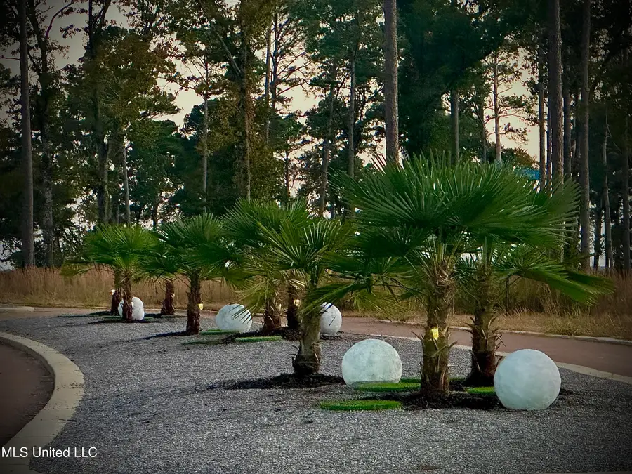 104 Calliope Park, Canton, MS 39046 - #3