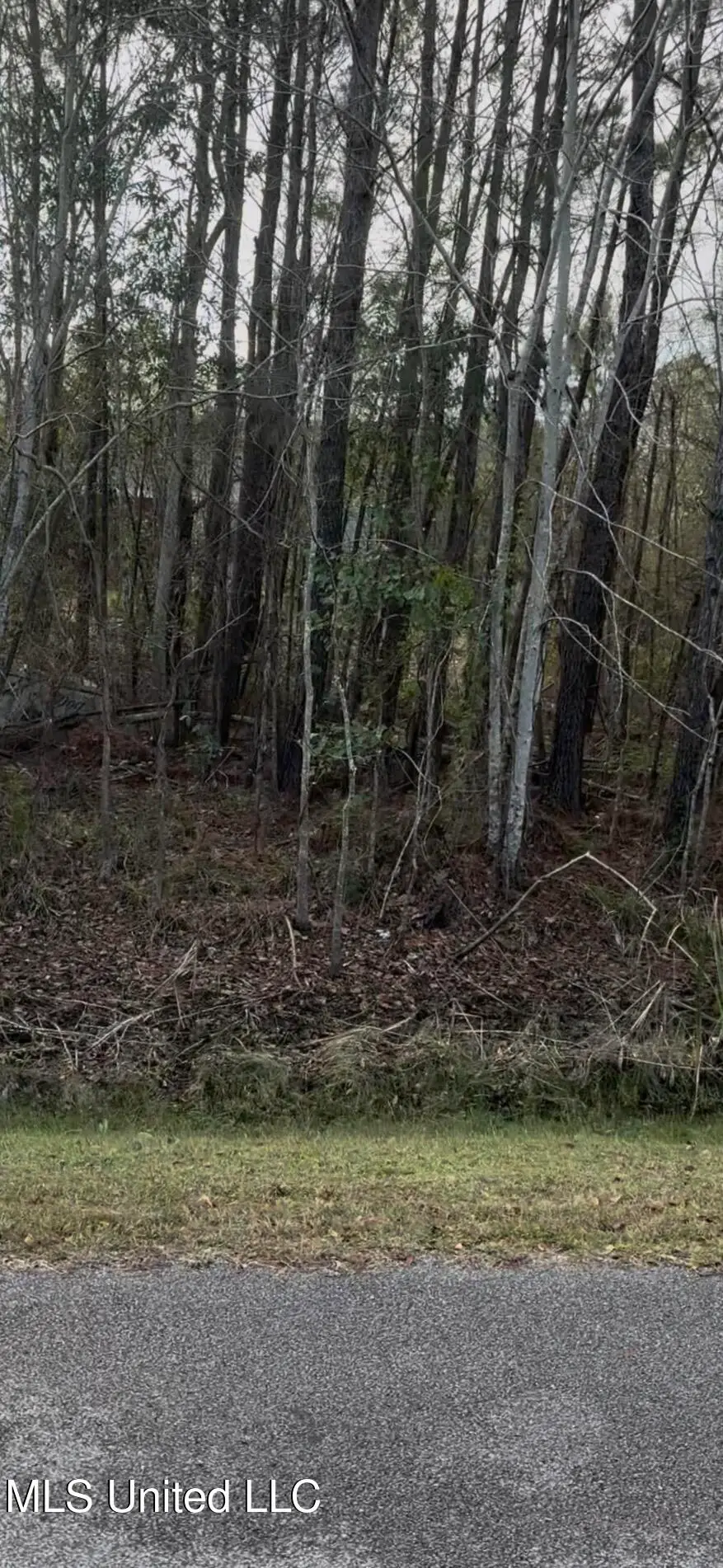 Vacation Lane, Waveland, MS 39576 - Image #2