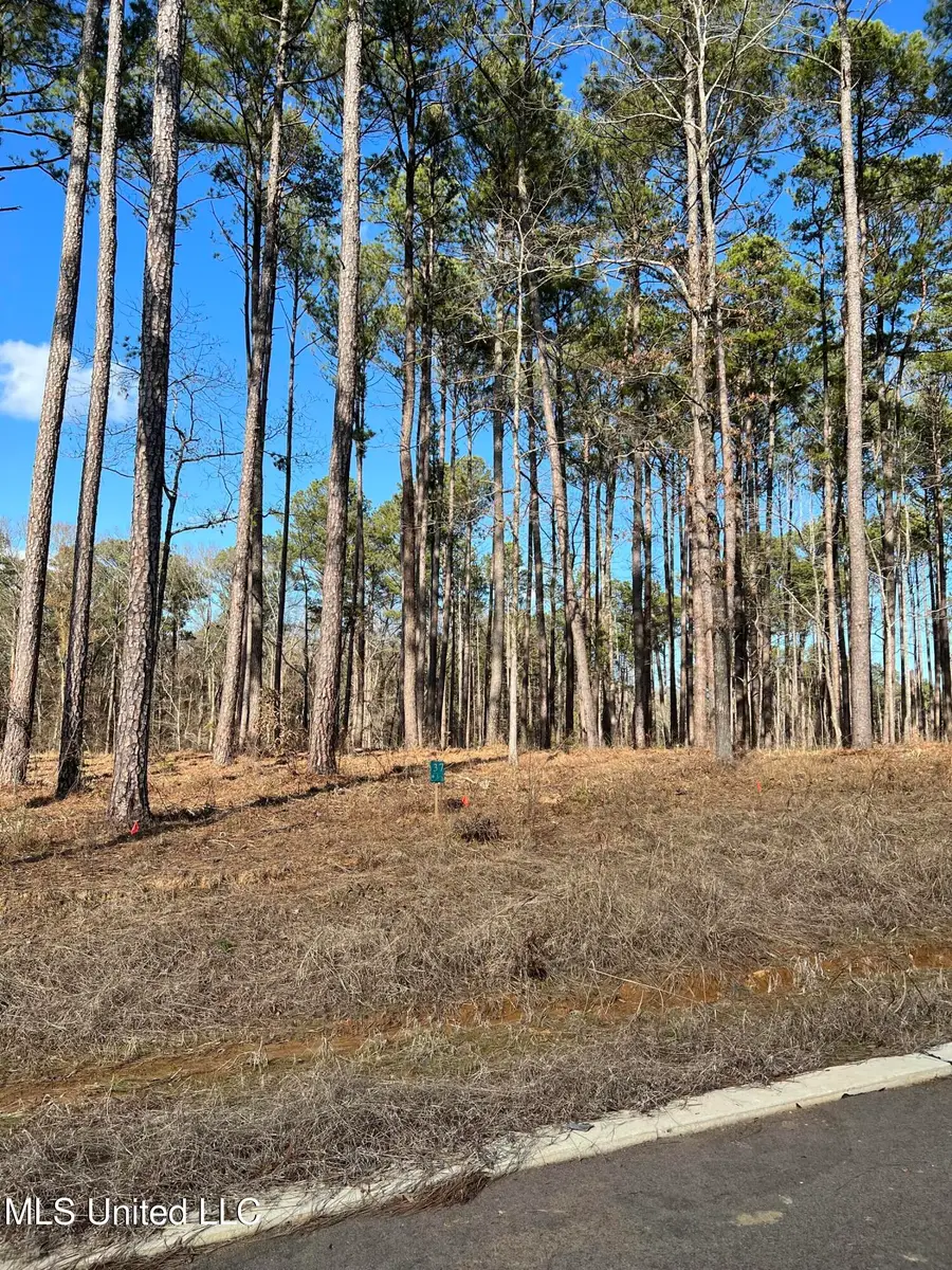 000 Venus Drive, Canton, MS 39046 - #3