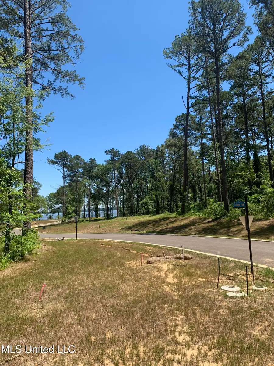 113 Calliope Park, Canton, MS 39046 - #3