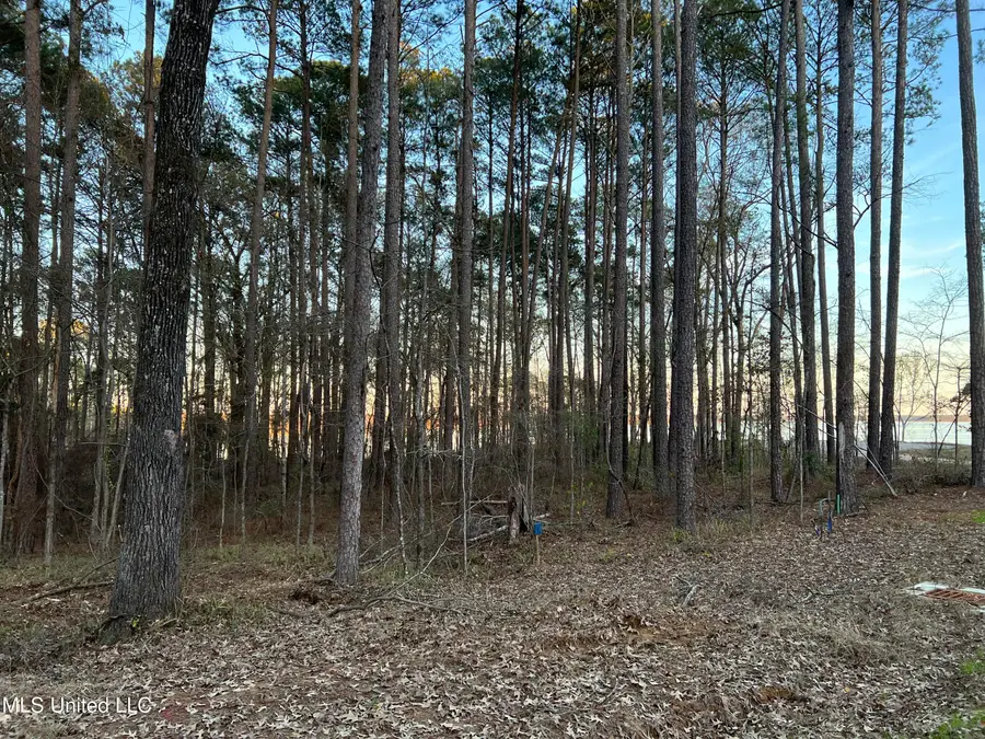 142 Apollo Way, Canton, MS 39046 - Image #3